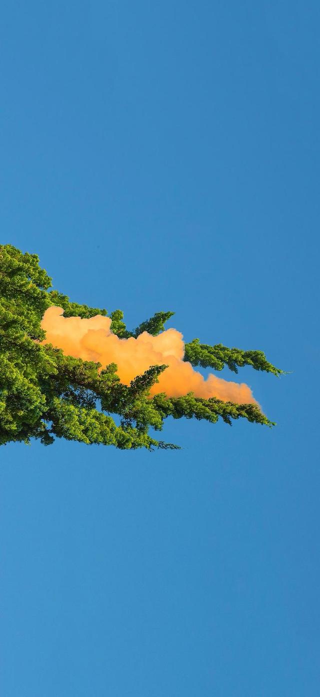 云起天犹湿，风翻势若奔。俄然开碧落，金日出乾坤