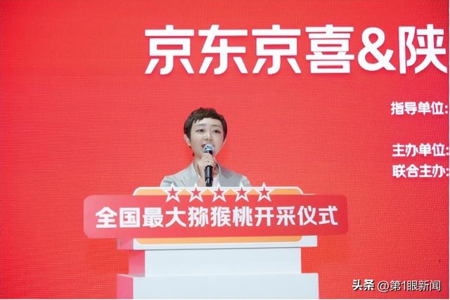 陕西猕猴桃开采：全国最大规模 京东京喜包销千万斤 同品质价格比其他平台便宜15%