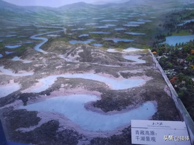 张传禄||聆听自然的史诗——青藏高原自然博物馆参观记