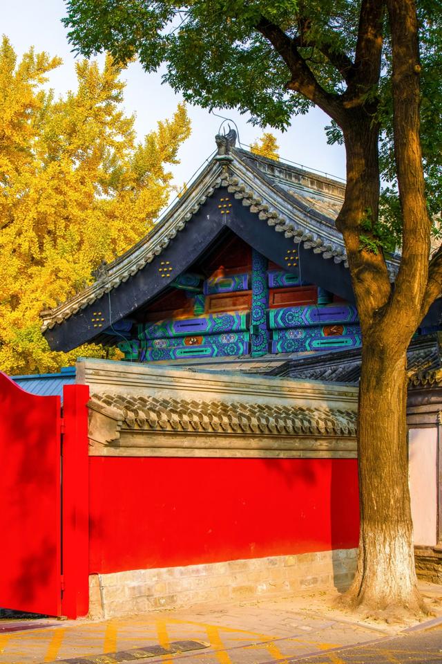 北京最爱的秋日清幽之地，曾经最高学府国子监，金黄的银杏美爆了