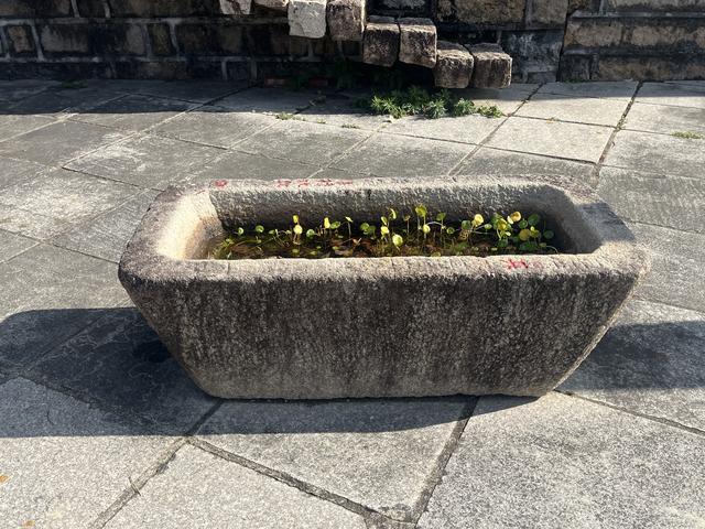 金庸与莆田少林寺