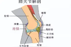 滑膜炎的症状与对症治疗！图片