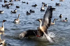 今天！你感受到沈阳的变化了吗？图片