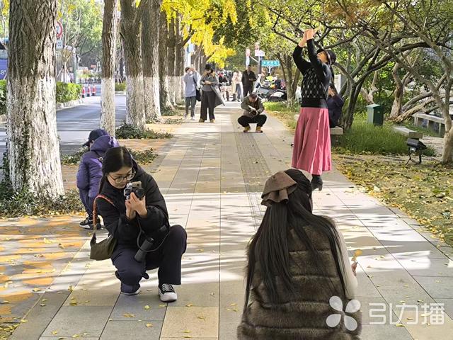 落叶缓扫！来苏州道前街打卡“秋日限定”