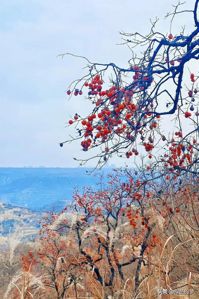 都说寻梦是水中捞月的徒劳,可我们还是喜欢去追寻梦中的当年。