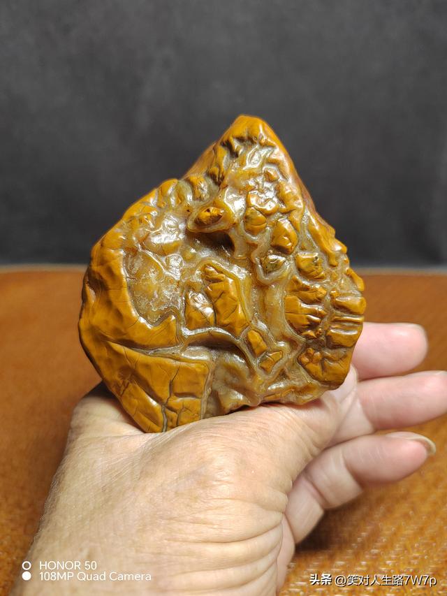 戈壁老皮石，沙漠中的活化石