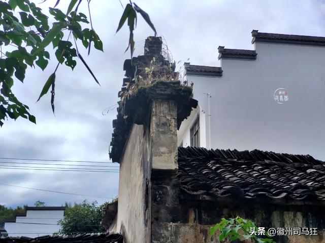 【行走徽州227】芳塘：许是半亩方塘的传承，明经胡有人高中传胪