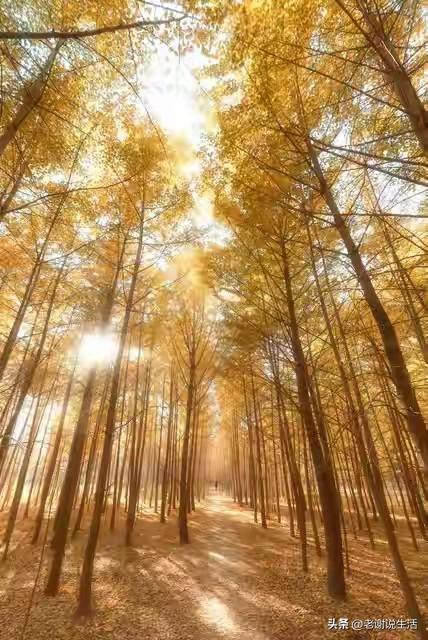 5点04分大雪	，老话“不怕大雪雪，最怕大雪晴”，大雪晴啥说法？