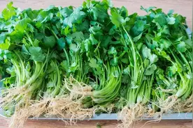 24岁少女坚持吃香菜，一年后她发生了哪些变化？图片
