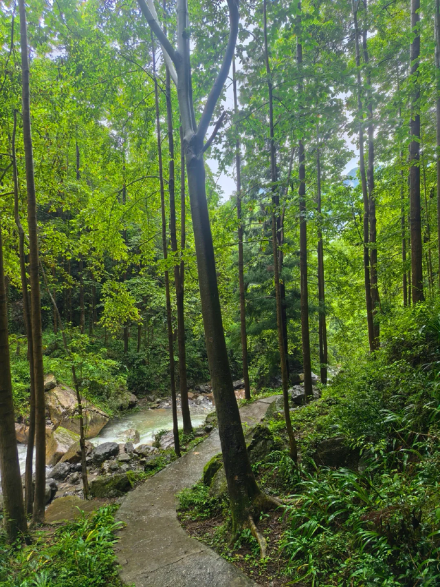 不输大飞水、龙苍沟！成都3h直达悬崖瀑布，人少景美还免费！
