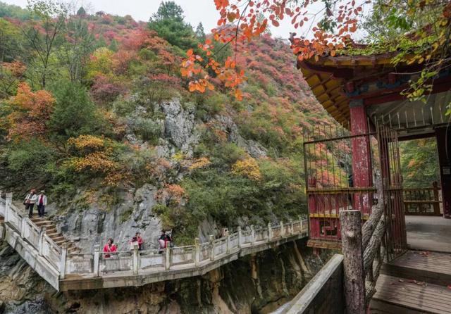 这才是秋天该有的样子~