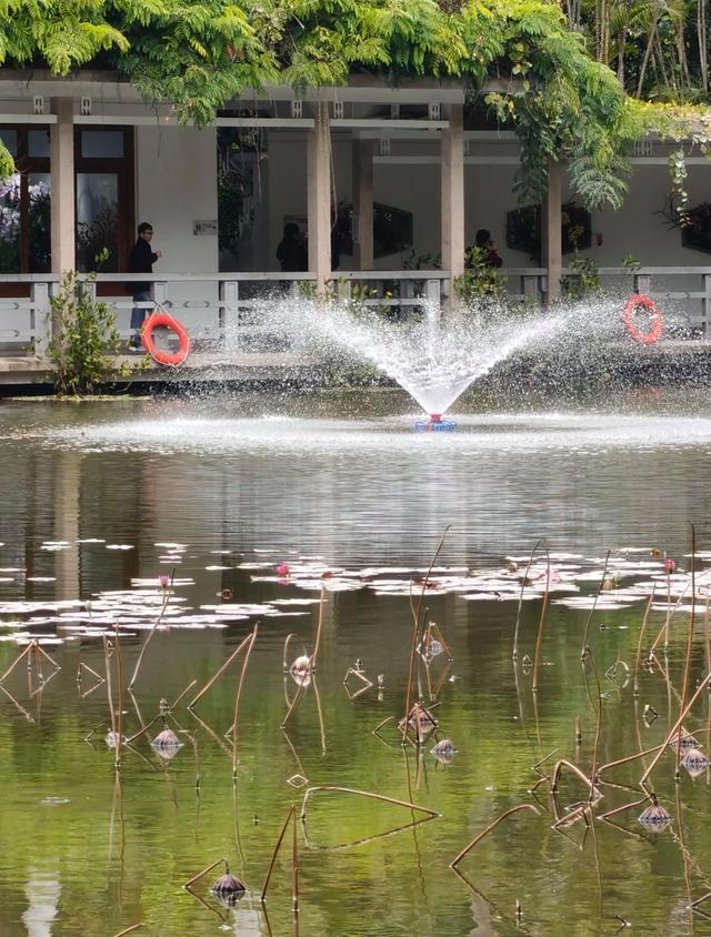 厦门植物园百花厅，景区主要的室内花卉展区，始建于上世纪80年代