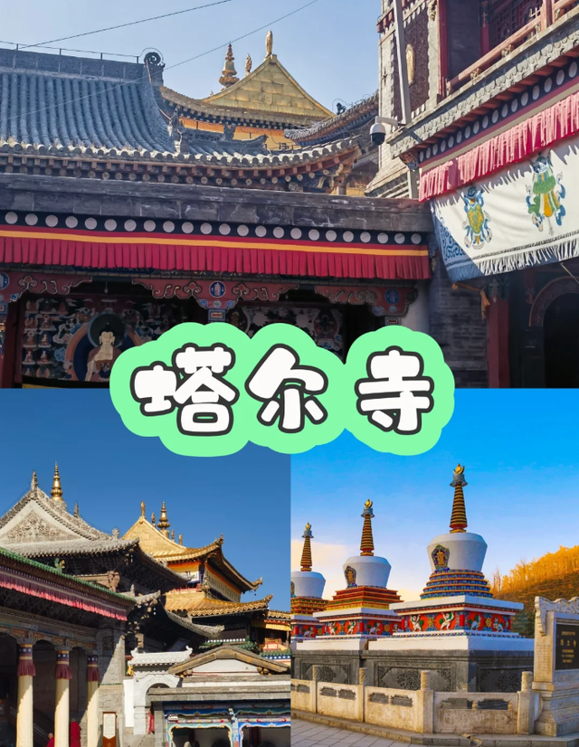 去了趟青海西宁，真心建议:不要随便去青海西宁，除非你知道这些