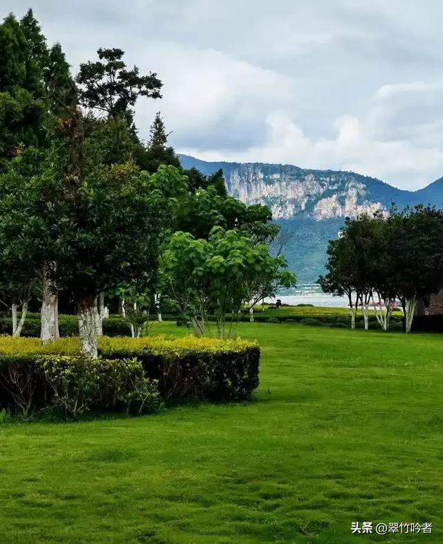 后悔来晚了,地铁直达的免费宝地,遛娃拍照绝佳,周末立刻出发。