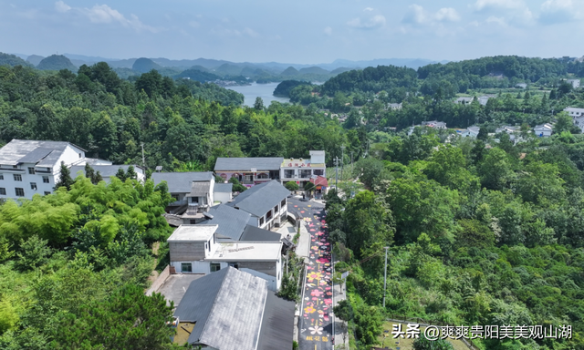 本周六 来桃花岛解锁湖岸山居的诗意野趣