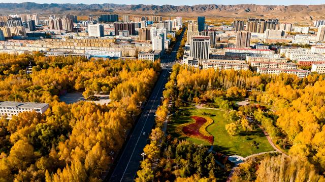 雁字裁云处，青城染就北疆最瑰丽的秋色长卷