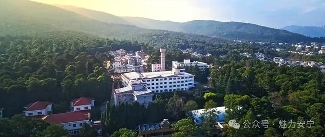 旅居安宁 | 在梅贻琦笔下寻一方“安宁”