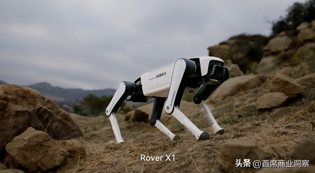 从打工妹到千亿身家，55岁女掌门拿下万台机器狗订单，冲刺AI硬件