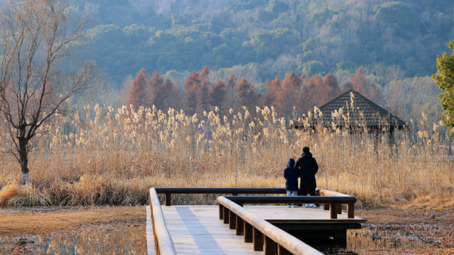 免费！无锡“巨无霸”公园火了
