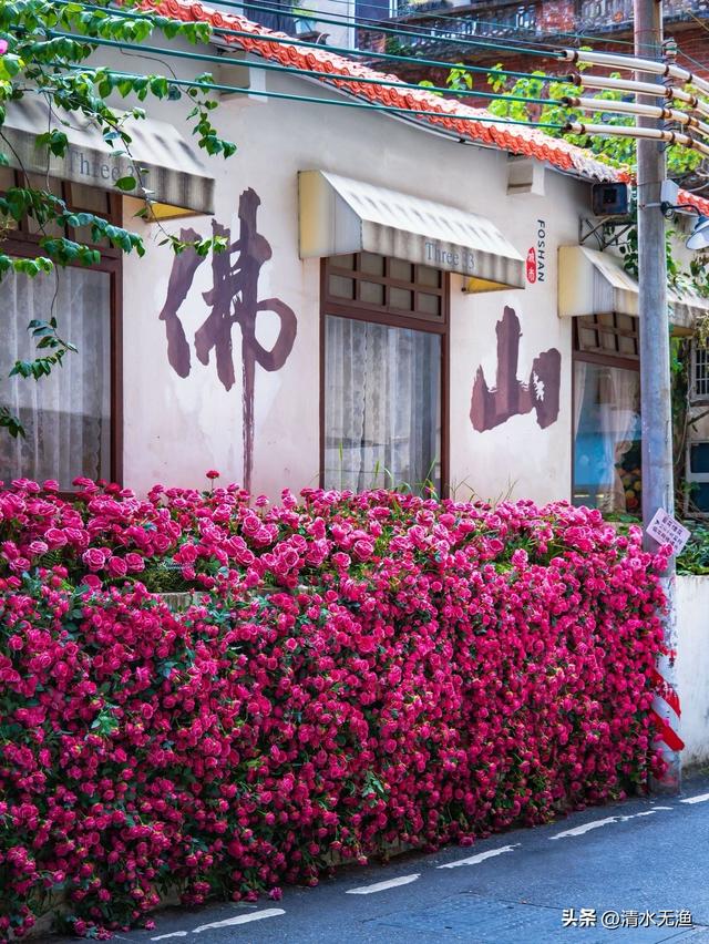 广东有一座城，被称为武术之乡，十分低调却让吃货和文青们都上头