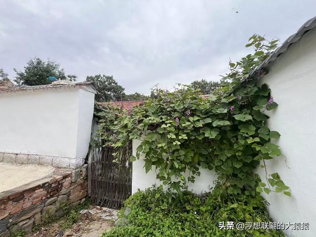 在邹平上回村可以攀爬摩诃峰，但俺没爬，俺买了农家菜打了山泉水