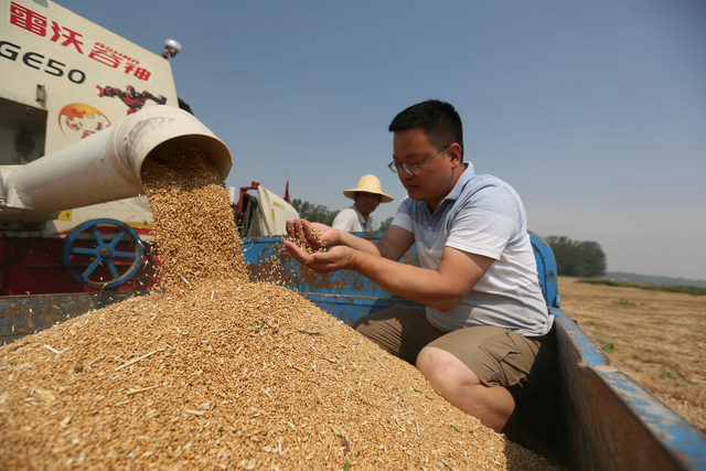 杞县图鉴：从千年文化到现代产业的视觉巡礼