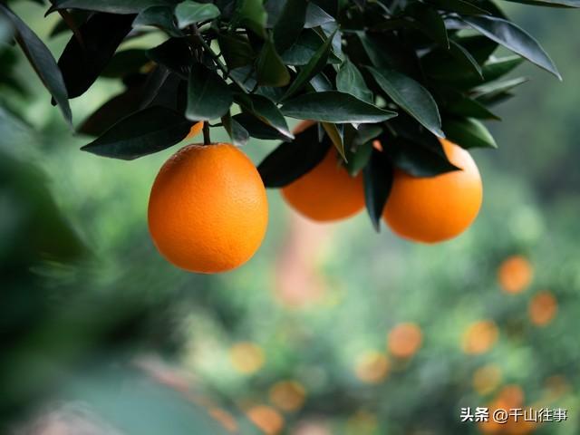 专家解读：骑行的快乐，是“零成本赚一个亿”的顶级通透！