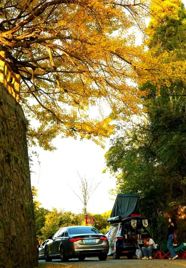 Country Walk！贵阳市白云区开启“村落游民”招募计划