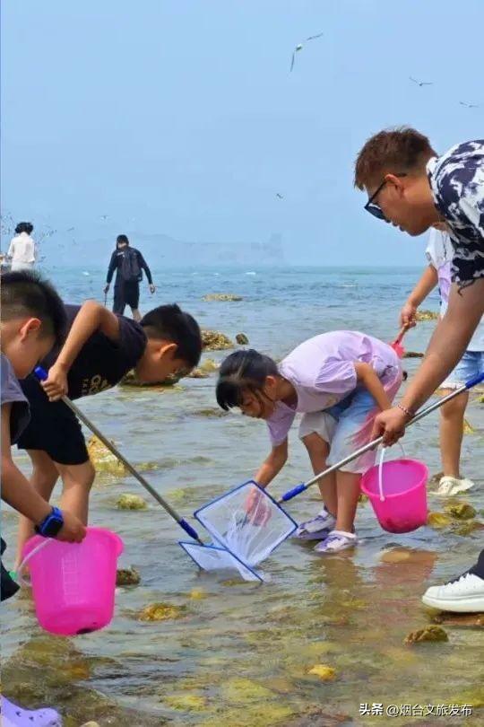 【乐游烟台】乘船可达！烟台度假必冲的神仙海岛，美疯了！