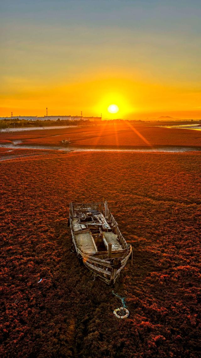 红石崖生态画卷美不胜收，瞧，河海染秋色，红海滩惊艳金色秋天