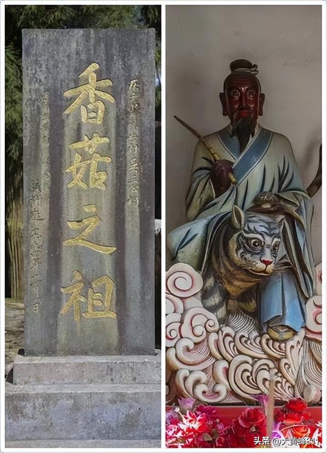 认识大美浙江的每个县——第32波：庆元