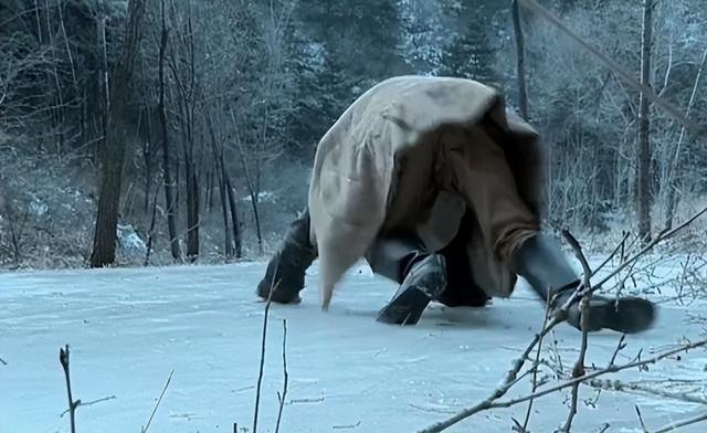 土匪马玉仁洗劫小镇，掳走几十个姑娘，却被国共双方共同认作英雄