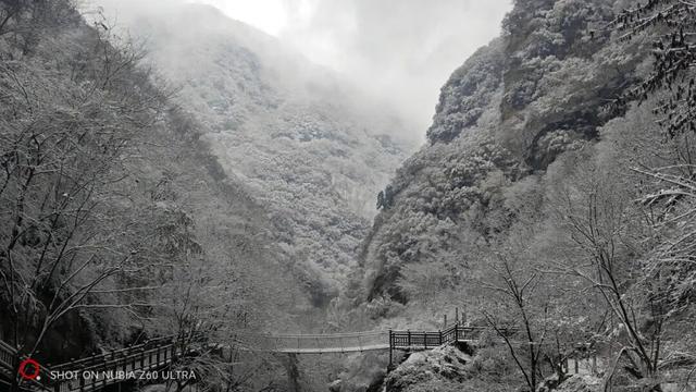 红河谷丨雪落林深处，山谷藏冬韵