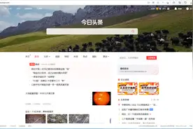 电脑如何查看今日头条未通过的作品图片