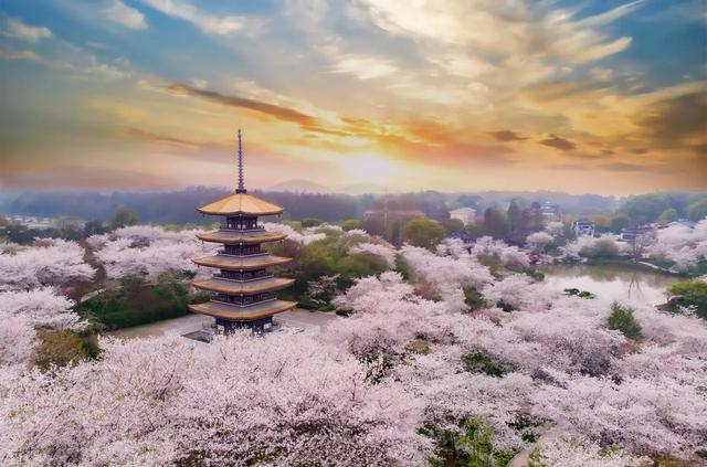 新春盼头 武汉年味已拉满 2026金马新春十大游玩攻略 逛吃赏玩全搞定