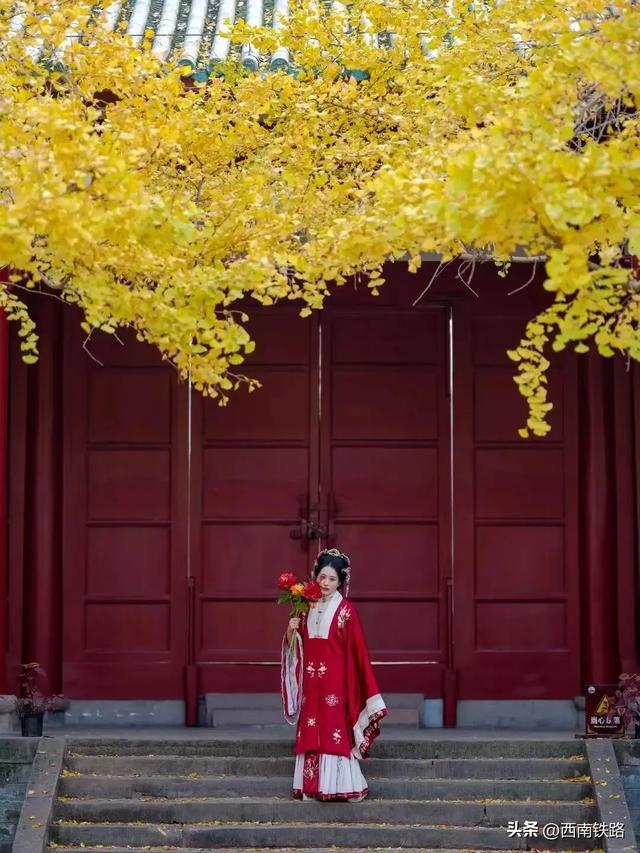 动车最快16分钟,票价仅需12元