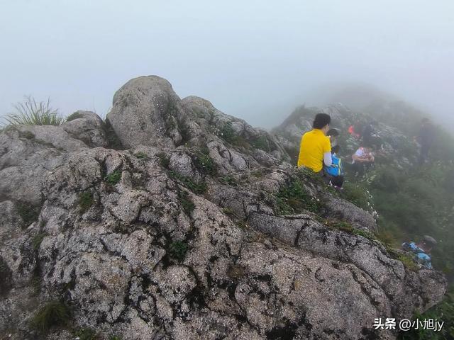 来呀，去白云山看金莲花，辽阳县大黑山风景区境内的白云山
