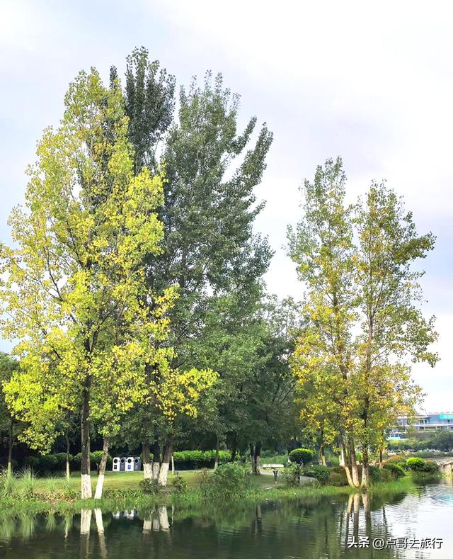 成都主城区最大人工湖，秋天超级惊艳，不要门票，地铁公交直达！