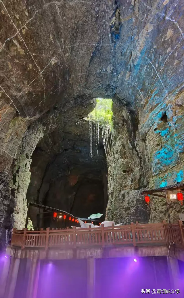 2025 凉雾之夏