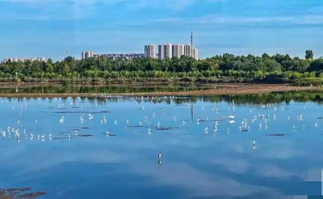 我是北京人，去了趟石家庄，实在忍不住想说：对石家庄的6点印象