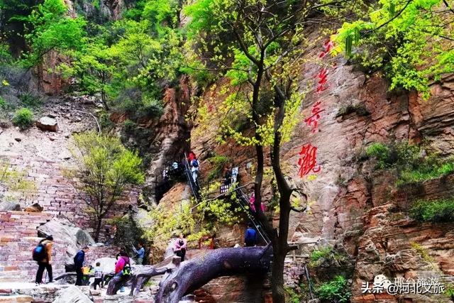 我看泉城 百善骈臻丨寻访母亲泉