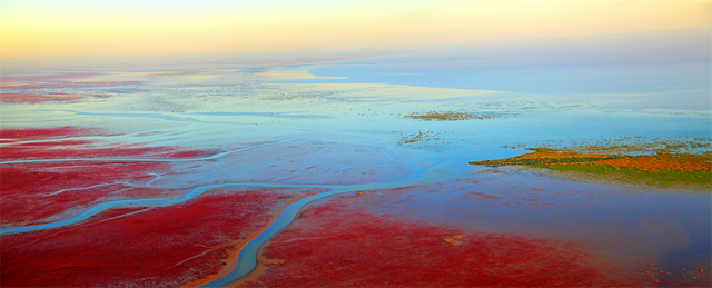 来东营，从从容容游刃有余！