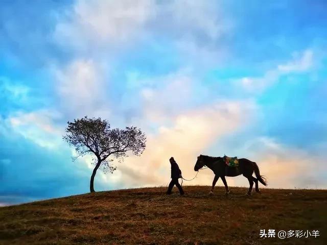 两性关系：60岁女人的大实话，男人过了65岁，只剩下一个“用处”