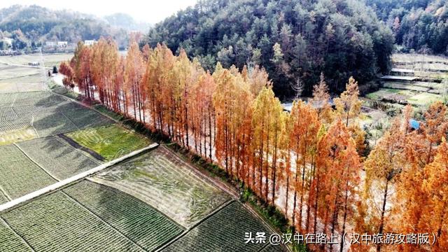 汉中洋西路自驾邂逅冬日限定美景！