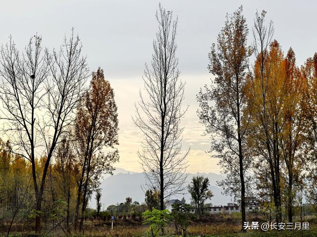 滈河畔鱼包头村，听放羊老汉讲西周