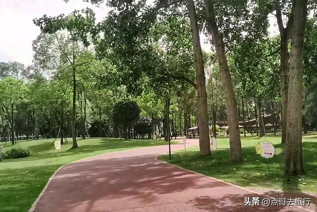 成都超级冷门公园，绿肺中的烟火成都，不要门票，1元公交直达！