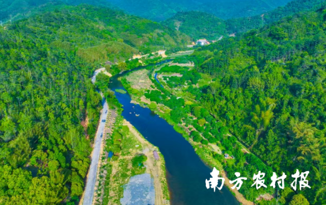 千年禅都何以兴？