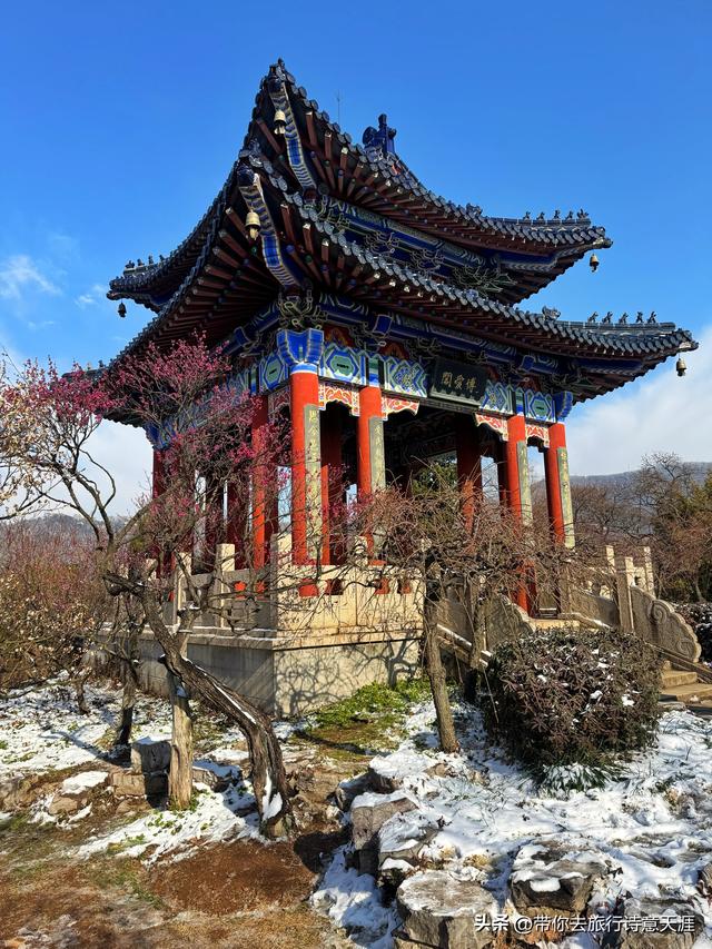 南京2026年第一场雪，梅花山、琵琶湖雪景
