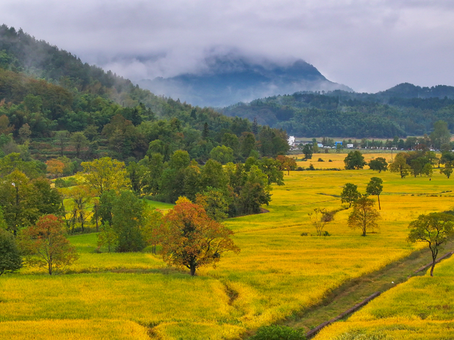 秋韵黟川·山水秘境颐养之旅 | 皖美秋日