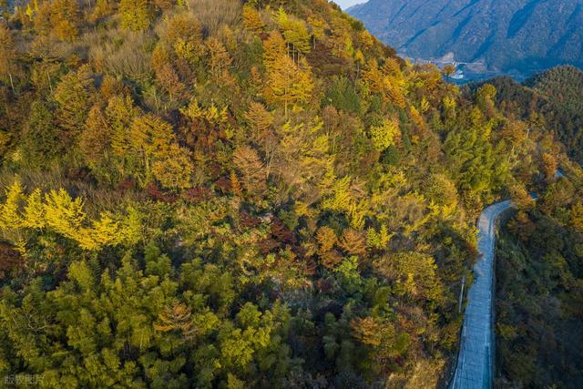 11月-12月，适合秋冬季节自驾的7条线路，藏着不少好风景